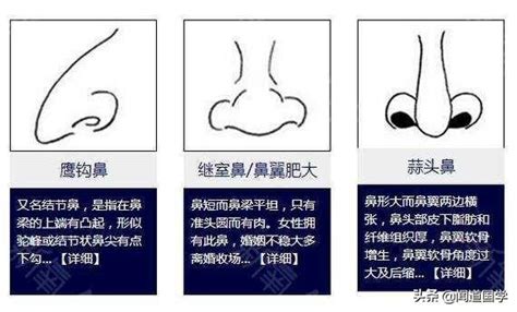 露鼻孔 面相|相学最有福气的7种鼻子 面相中最有福气的7种鼻子